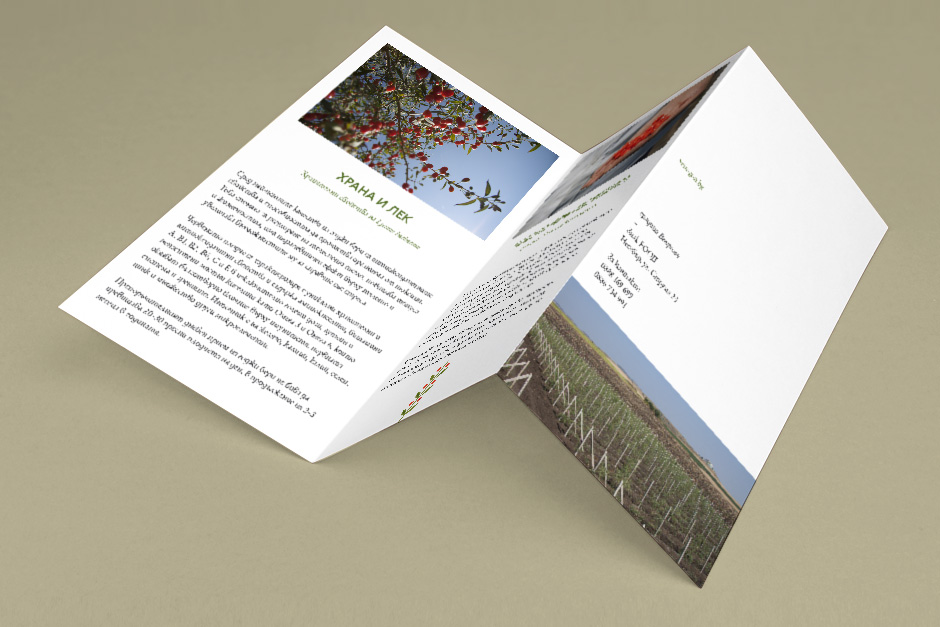 Leaflet for a goji berry producer