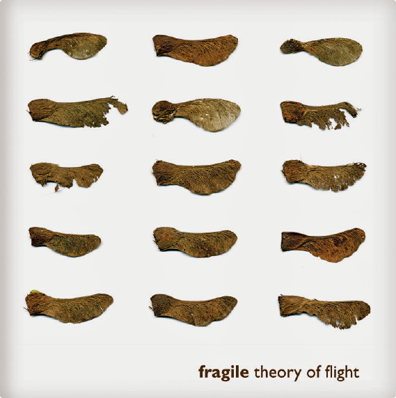 Fragile CD LP cover design