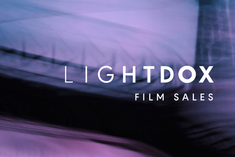 Логотип, уебсайт и каталог | Lightdox